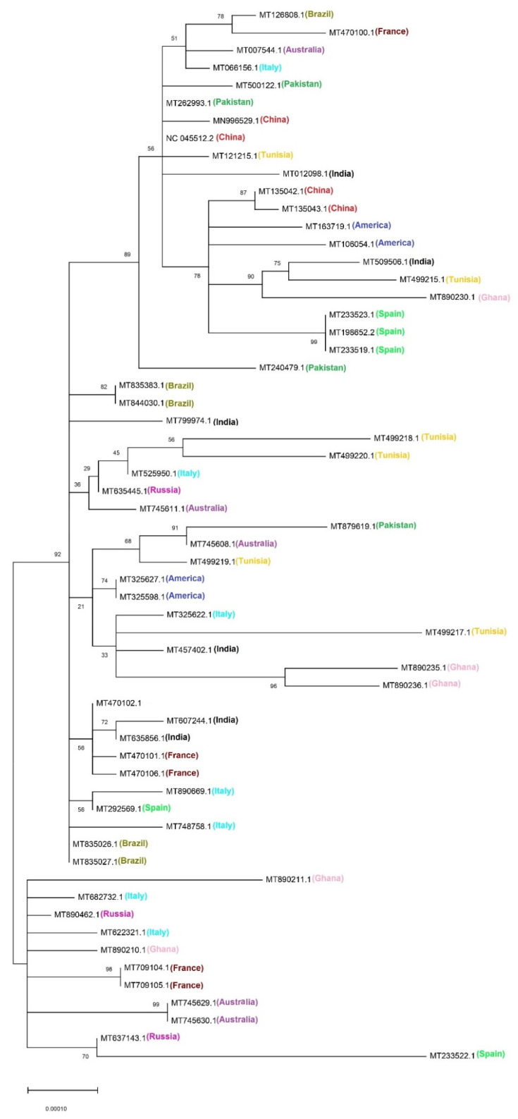 https://www.ncbi.nlm.nih.gov/pmc/articles/PMC8233742/bin/biomolecules-11-00912-g006.jpg